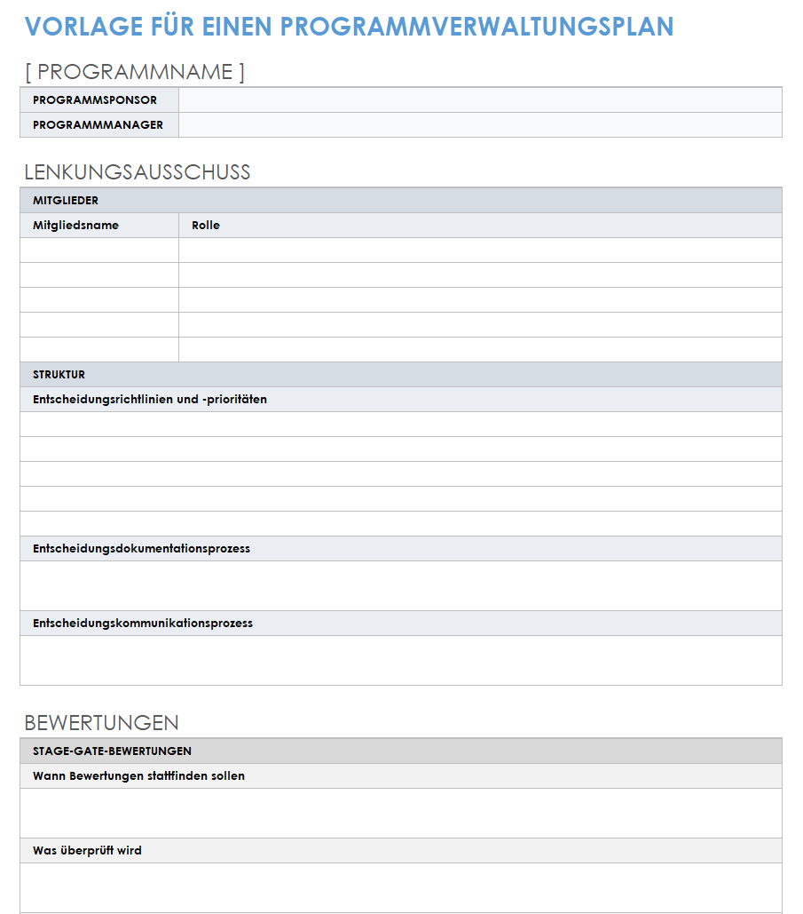 Programm-Governance-Plan