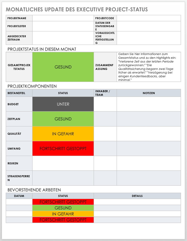 Project Management Executive Update 49475 - DE