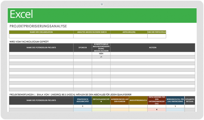  Vorlage zur Analyse der Projektpriorisierung